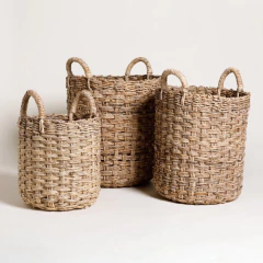 Cansasto Jattari - comprar online