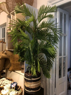 planta artificial palmera areca