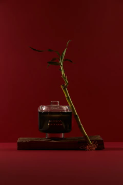 Vela Bamboo - comprar online
