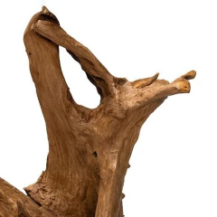 Deco Root con Base - tienda online