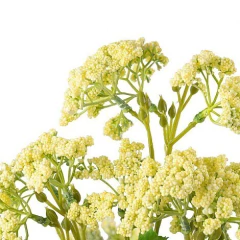Vara Blossom - comprar online