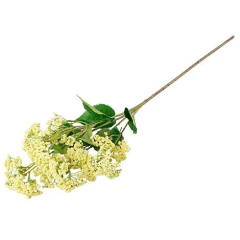 Vara Blossom