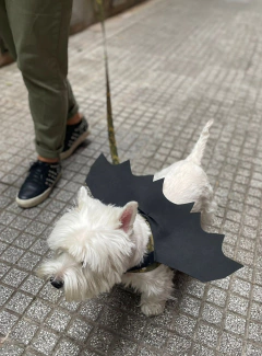 Disfraz Batman - comprar online