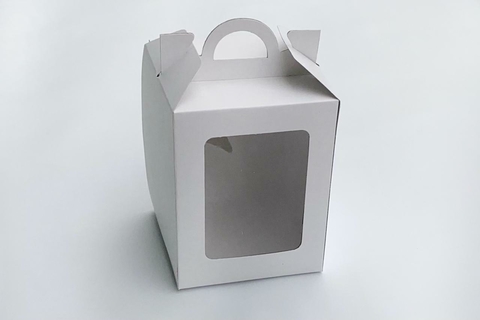 CAJA 13x13x17CM CON VISOR