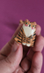 Gatitos mini - Montón, junta de diseño