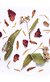 Blend Floralina - comprar online