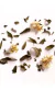Blend Herboralia en internet