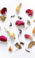 Blend Juntas en el jardín - comprar online