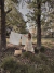 C a s i l d a D r e s s (Daisies) - Carolita