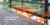 Banner de SomosGarbo