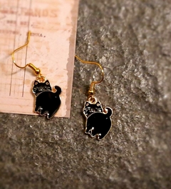 Aros de Gatitos en internet