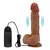 PENIS VIBRADOR DUPLA CAMADA 9033 na internet