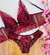 CONJUNTO SEXY CHANTILLY LM na internet