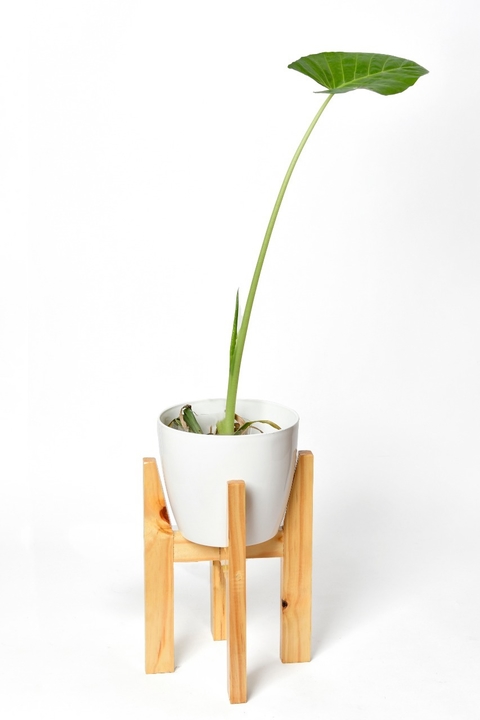 Porta Maceta 30 cm: Pie de Madera + Maceta Premium