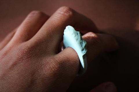 Anillo #008 en internet