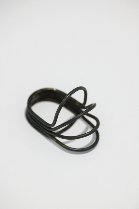 Anillo linea II
