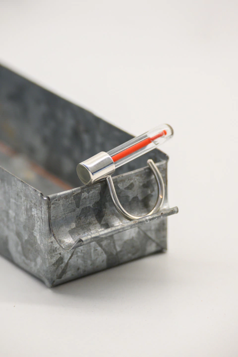 Anillo Nivel coral - Supuesto