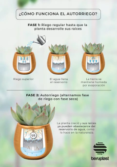 Maceta Autorriego N*4
