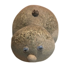 Loco Lope en internet