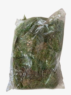 Musgo - comprar online