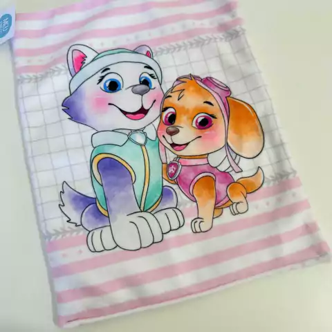 PRONTA ENTREGA - Toalhinha escolar "Skye e Everest"