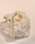 Imagen de ANILLO SIDNEY
