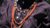 Banner de Joaquina Elizalde