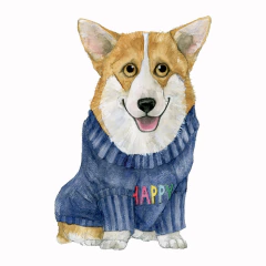 El corgi de la suerte!