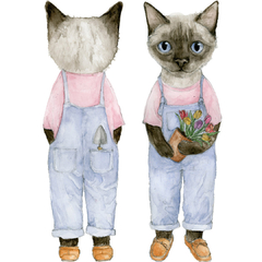 Deco Kit Gatitos y sus hobbies en internet