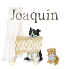 Cartel Nursery Clínica Nacimiento Bebé Edición Perros - comprar online