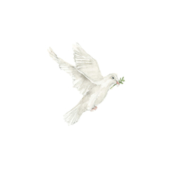 20 unidades - Tarjetita Nacimiento. Bautismo. Comunión - comprar online