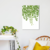 Quadro Decorativo Botânica, Plantas Pendentes