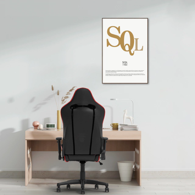 Quadro Decorativo Linguagem de Programação SQL Dev
