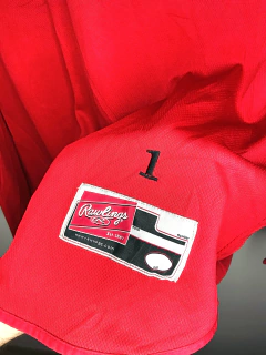 CHICAGO WHITE SOX - RAWLINGS en internet
