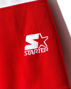 DETROIT RED WINGS II - STARTER en internet