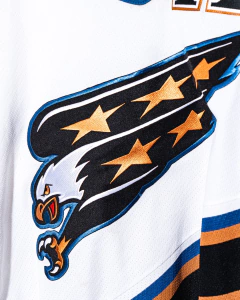 JAROMÍR JÁGR - WASHINGTON CAPITALS - CCM en internet