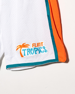 FLINT TROPICS - FLGO en internet