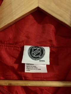 NHL TEAM - DETROIT RED WINGS en internet
