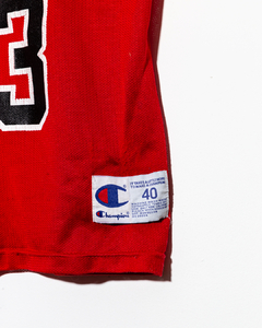 MICHAEL JORDAN - CHICAGO BULLS - CHAMPION - tienda online