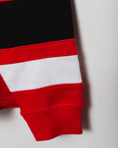 Imagen de DETROIT RED WINGS - NHL OFFICIAL PRODUCT