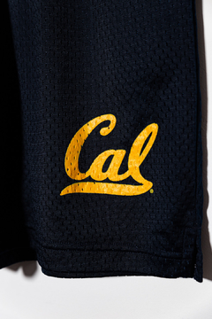CALIFORNIA GOLDEN BEARS - CHAMPION - comprar online