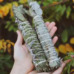 Sahumos - Sagrada Madre HIERBAS NATURALES - comprar online