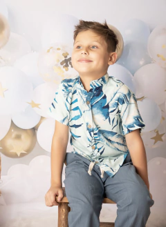 CAMISA TOMMY CRUDO - comprar online