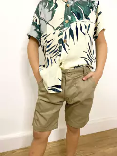 BERMUDA ARNOLD VISON en internet