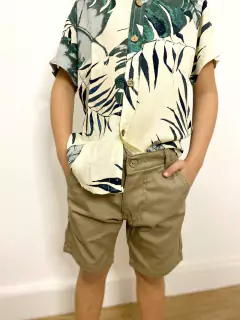 BERMUDA ARNOLD VISON