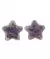 Aplique Transparente - Estrela 5cm - 2 Unidades - loja online
