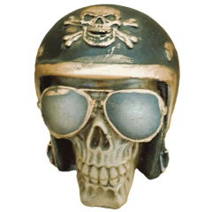 Caveira Crânio I Motociclista preto_A na internet