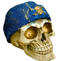 Adicione um toque ousado à sua decoração com a escultura Caveira Crânio I gorro azul. Feita de resina de alta qualidade. Compre agora e destaque seu espaço!