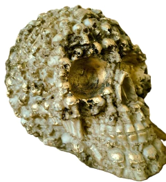 Caveira Crânio I mini caveiras decoratica _A - Maraterapia presentes wicca I budismo I umbanda I católico I decoração I antiguidades I animais