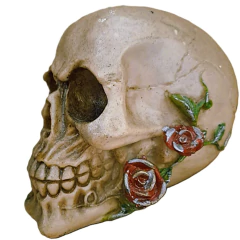 Caveira cranio I Rosas Vermelhas_B - Maraterapia presentes wicca I budismo I umbanda I católico I decoração I antiguidades I animais